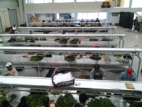 mesas de acero inoxidable