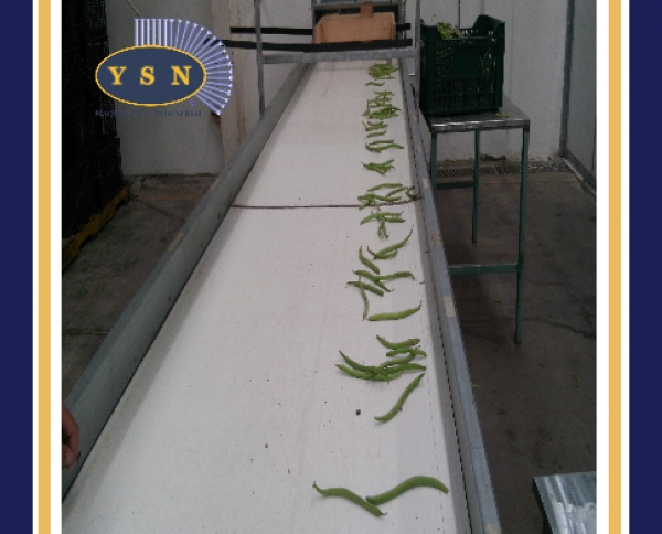 BANDAS TRANSPORTADORAS