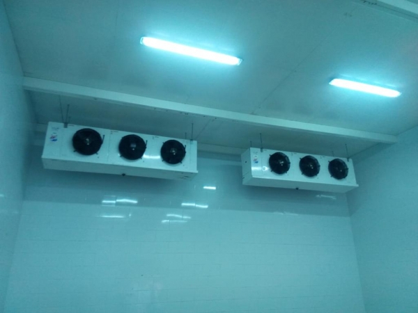 C&aacute;mara de refrigeraci&oacute;n 