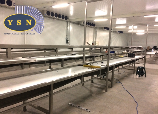 TRANSPORTADORES 1.04